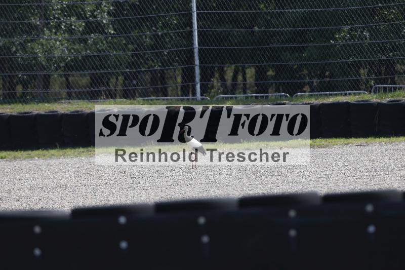 /40 24.08.2026  Cornu Master School ADR/Impressionen
